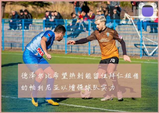 德泽尔比希望热刺能留住拜仁租借的帕利尼亚以增强球队实力